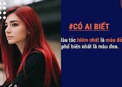 Có ai biết: Tóc của con người có thể nâng được cả một con voi trong sở thú!