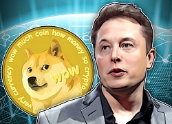 Elon Musk cảnh báo cẩn trọng với tiền điện tử