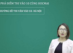 Hai dạng bài nghị luận xã hội thường gặp trong bài thi Văn vào 10