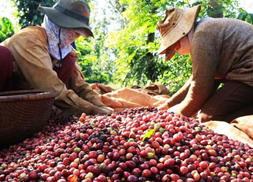 Nông sản Việt: Đừng thờ ơ với chỉ dẫn địa lý