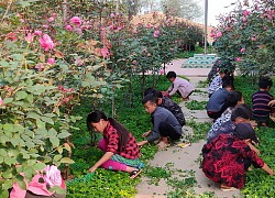 Trường vùng cao xây dựng "thương hiệu"