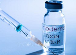 Vaccine ngừa COVID-19 của hãng Moderna được đánh giá có hiệu quả cao nhất