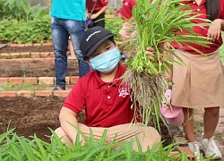 Dạy trẻ yêu lao động: Từ vun trồng đến phát triển toàn diện