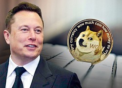 Elon Musk gọi Dogecoin là 'tương lai của tiền tệ'