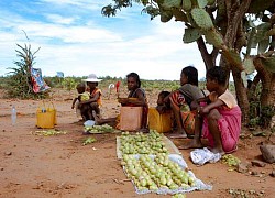 Madagascar: Hạn hán nghiêm trọng khiến hơn 1 triệu người đối mặt nạn đói