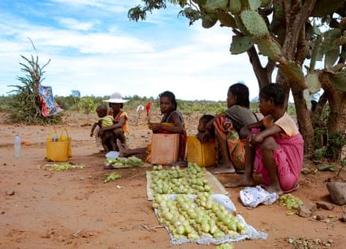 Madagascar: Hạn hán nghiêm trọng khiến hơn 1 triệu người đối mặt nạn đói