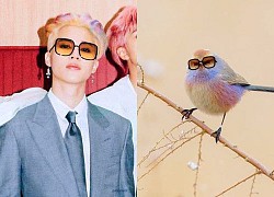 Nhuộm tóc cầu vồng, Jimin BTS có ngay anh em sinh đôi