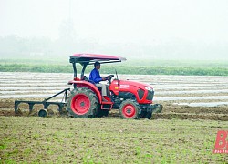 Phát triển tiêu chí sản xuất tại các xã nông thôn mới nâng cao