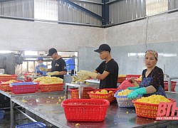 Xuất khẩu trực tuyến - hướng đi hiệu quả