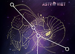6 cung hoàng đạo hấp dẫn nhất: Mỗi người một vẻ mười phân vẹn mười