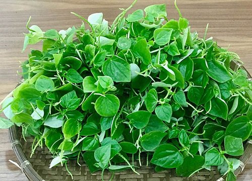 7 tác dụng của rau càng cua trong việc phòng và trị bệnh
