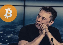 Các chuyên gia tiền số nói gì về việc Elon Musk 'quay lưng' với Bitcoin?
