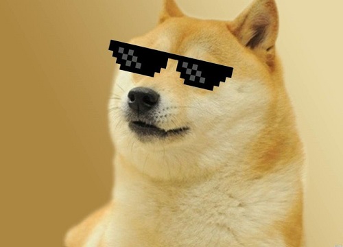 Nếu bạn đã nghe đến Dogecoin, hãy đón xem những hình ảnh chó độc đáo của nó. Dogecoin mang tới những meme ảnh chó cực kỳ đáng yêu và thú vị. Chắc chắn sẽ làm cho bạn cảm thấy hạnh phúc khi xem chúng.