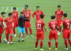 Đa dạng hàng công tuyển Việt Nam