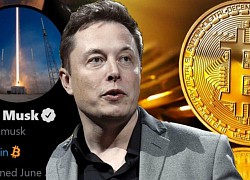Elon Musk 'quay lưng' với Bitcoin