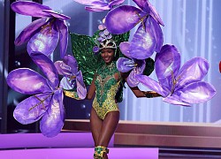 Hoa hậu Philippines gợi nhớ đến thiên thần nội y tại Miss Universe