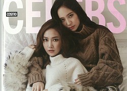"Lóa mắt" trước những "cực phẩm" nhan sắc anh chị em ruột của các idol
