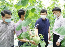 Phó Bí thư Thường trực Tỉnh ủy Ngô Hoàng Ngân kiểm tra tại huyện Đầm Hà