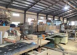 Cân bằng là gốc của phát triển lâm nghiệp bền vững