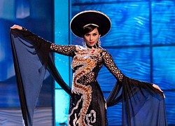 Trang phục dân tộc của người đẹp Việt ở Miss Universe thay đổi ra sao?