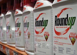 Tòa án Mỹ bác đơn kháng án của Monsanto