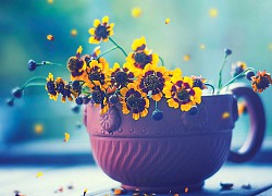 Tử vi ngày 14/5/2021 của 12 cung hoàng đạo: Song Ngư khôn khéo
