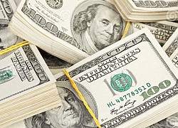 Tỷ giá ngoại tệ ngày 14/5: USD tăng sau khi Mỹ ghi kỷ lục thập kỷ