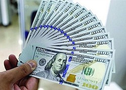Tỷ giá USD hôm nay 13/5: USD bất ngờ đảo chiều tăng