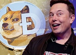 Cha đẻ Dogecoin: 'Elon Musk là kẻ chỉ biết quan tâm tới bản thân'