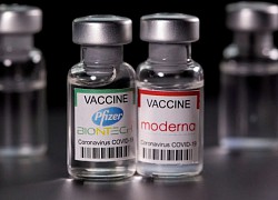 Cuộc đua trở thành công xưởng sản xuất vaccine Covid-19 ở châu Á