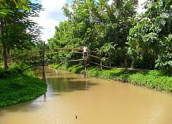 Đặc sản miền Tây: Cây cầu thử thách mọi "tay lái lụa", huấn luyện viên yoga nhìn còn phải chào thua!