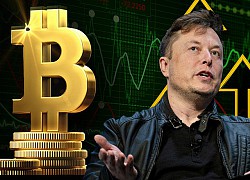 Elon Musk vừa 'giải cứu' Bitcoin: Đăng đàn cải chính được vài phút, giá lập tức gượng dậy trở lại