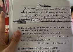 Học trò lớp 1 trổ tài viết Văn miêu tả siêu lầy, người lớn đọc vào chỉ biết ôm bụng cười vì quá sức sáng tạo!