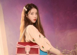 IU diện đồ Gucci và nhận loạt lời cay đắng từ netizen: "Giống mấy bạn hot girl mạng cố học đòi diện hàng hiệu!"