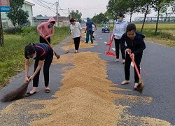 Mưa giông bất ngờ, giáo viên "xắn tay" giúp bà con gom lúa "chạy mưa"