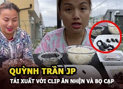 Quỳnh Trần JP tái xuất với clip ăn nhện và bọ cạp kinh dị, động thái mới khiến netizen bất ngờ