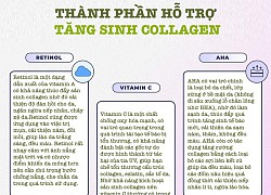 3 thành phần hỗ trợ tăng sinh collagen