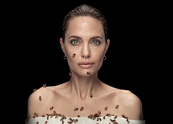 Angelina Jolie chụp ảnh với ong