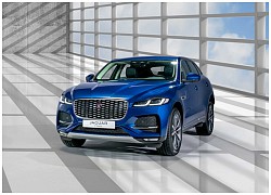 "Báo gấm" Jaguar F-Pace mới ra mắt Việt Nam có gì?