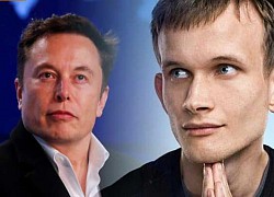 &#8216;Cha đẻ&#8217; của Ethereum: Không hề ngạc nhiên trước cơn bán tháo vừa qua, tuyên bố &#8216;hiệu ứng Elon&#8217; sẽ dần mất hiệu lực