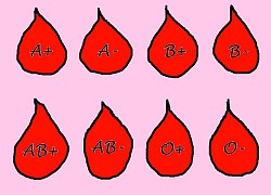 Đặc điểm tính cách của các nhóm máu A - B - O - AB ở nơi làm việc: Người hòa đồng và lãnh đạo cả nhóm, người nhút nhát chỉ thích làm việc một mình