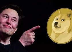 Elon Musk nói 'không bán Dogecoin'