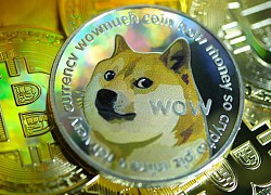 Hành trình từ trò đùa thành tiền ảo giá cao của Dogecoin