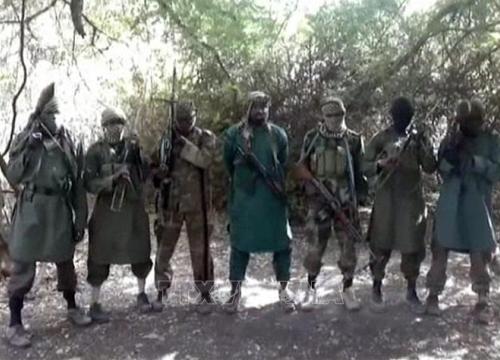 Quân đội Niger tiêu diệt nhiều phần tử Boko Haram