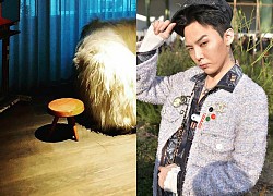 G-Dragon chi "sương sương" nửa tỷ đồng chỉ để mua 1 chiếc chế 3 chân