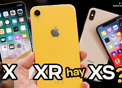 Top iPhone cũ rất đáng mua với giá chỉ dưới 9 triệu đồng!