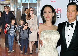 Brad Pitt và Angelina Jolie được cùng nhau nuôi con sau phiên tòa căng thẳng nhất lịch sử?