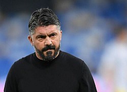 Gattuso dẫn dắt Fiorentina