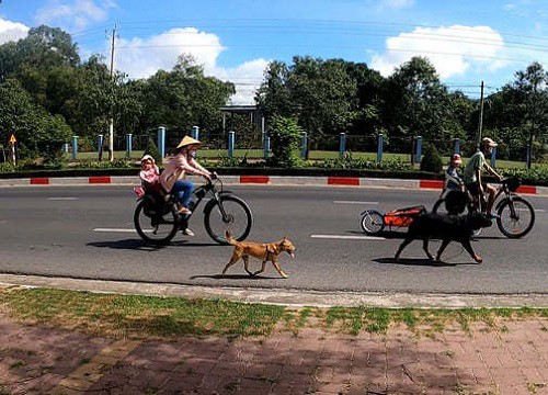 Vợ chồng bán hết tài sản, cho con đi du lịch trải nghiệm bằng xe đạp