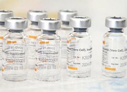 Indonesia tiếp nhận thêm 8 triệu liều vaccine Sinovac